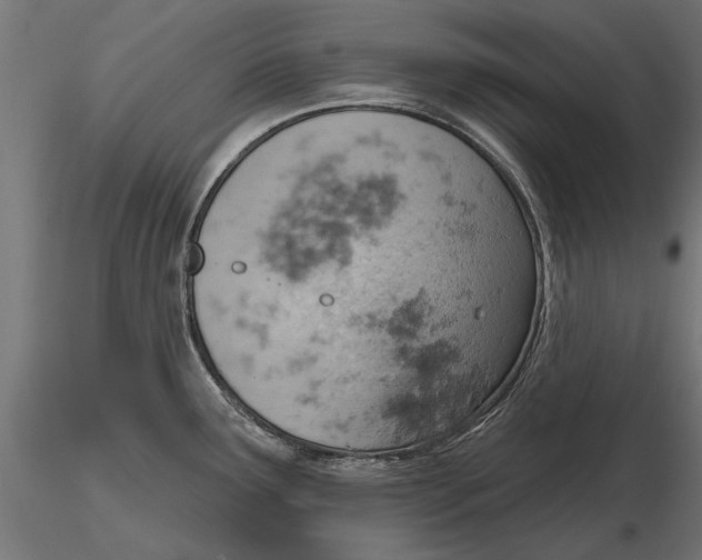 X0000115591291200912081041