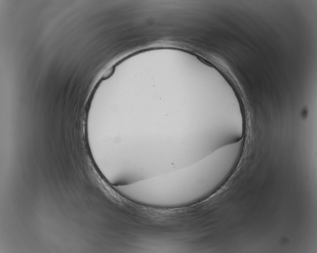 X0000115591292200912081041