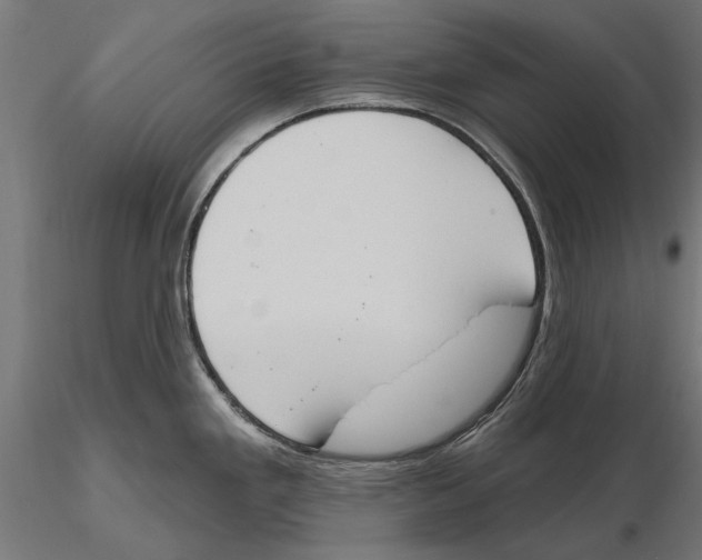 X0000115591293200912081041