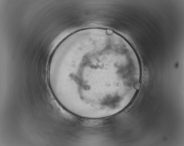X0000115591294200912081041