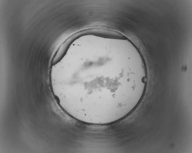 X0000115591296200912081041