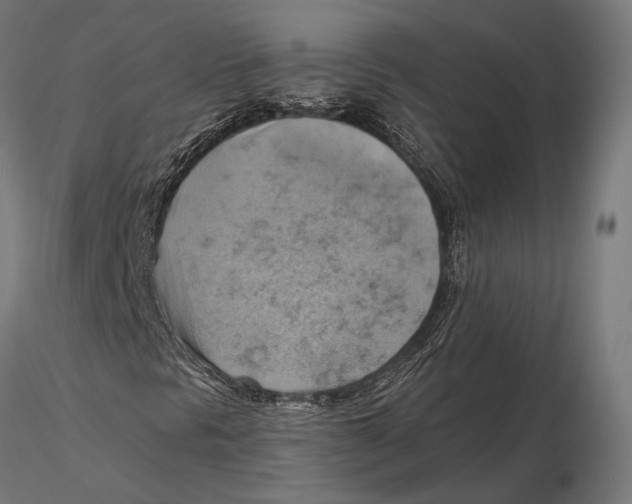 X0000115591297200912081040
