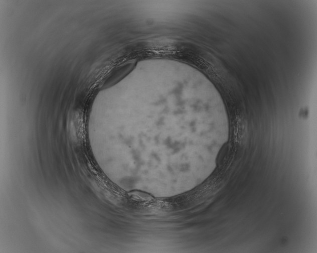 X0000115591298200912081040