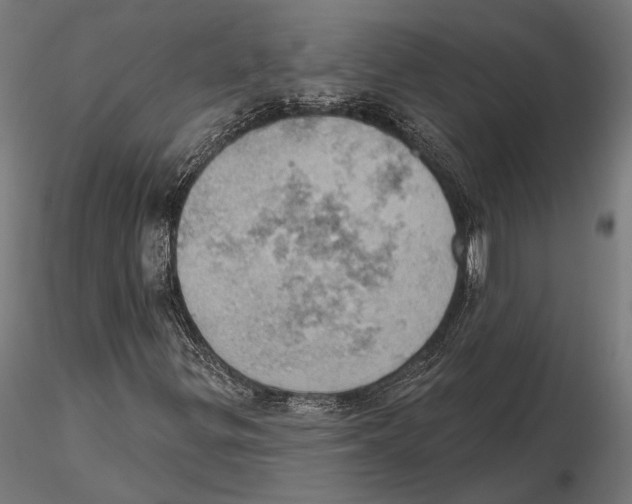 X0000115591299200912081040