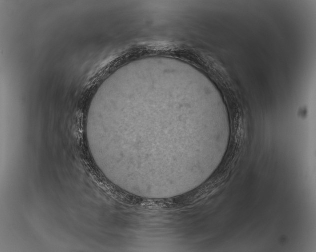 X0000115591301200912081040