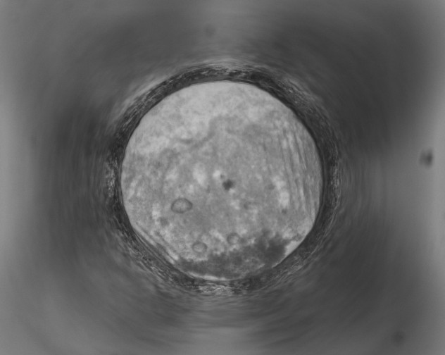 X0000115591302200912081040