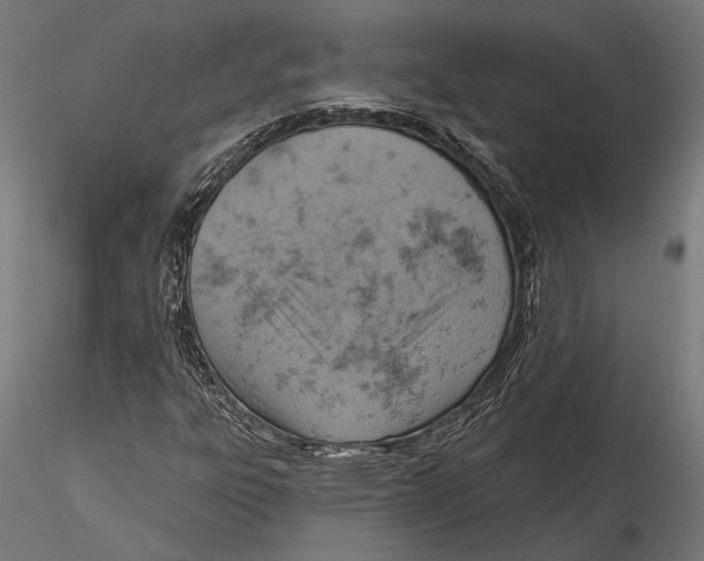 X0000115591303200912081040