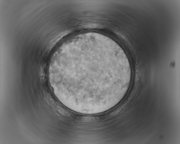 X0000115591305200912081040
