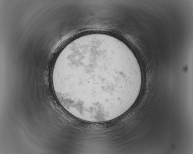 X0000115591307200912081040