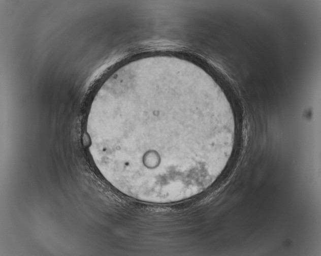 X0000115591309200912081040