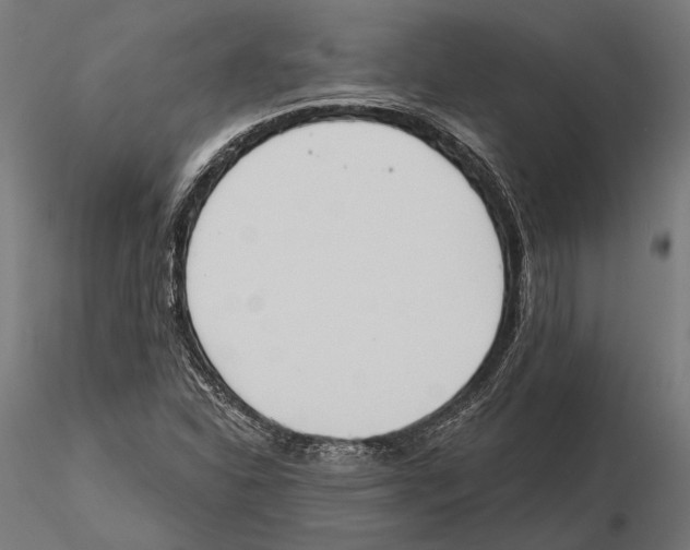 X0000115591310200912081040