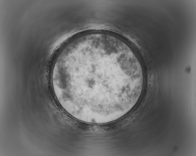 X0000115591311200912081040