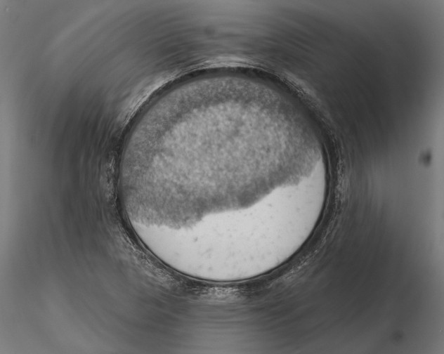 X0000115591313200912081040