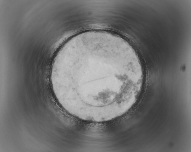 X0000115591314200912081040