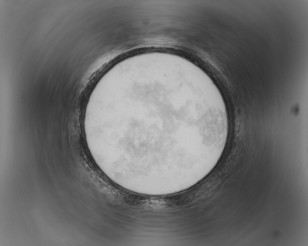 X0000115591315200912081040