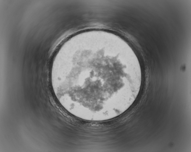 X0000115591318200912081040