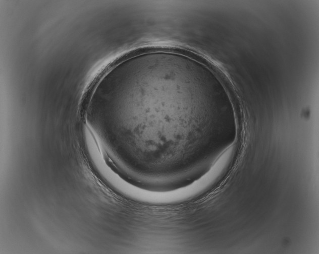 X0000115591319200912081040