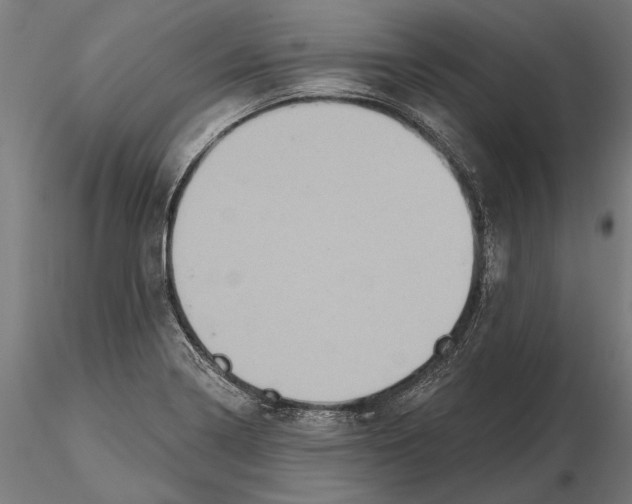 X0000115591322200912081040