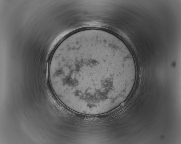 X0000115591323200912081040