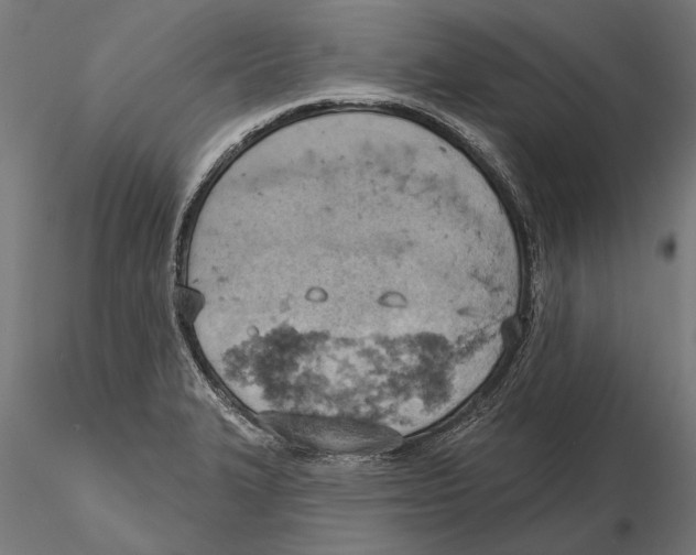 X0000115591327200912081040