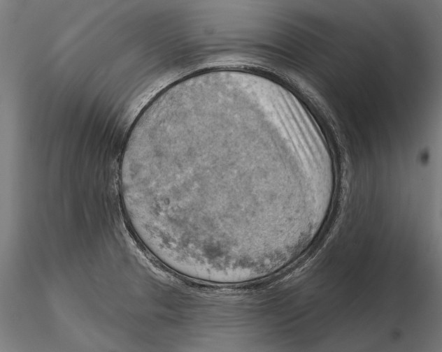 X0000115591329200912081040