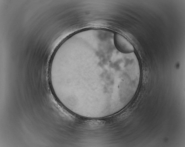 X0000115591331200912081040