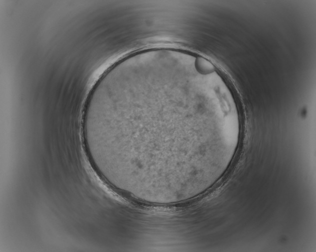 X0000115591333200912081040