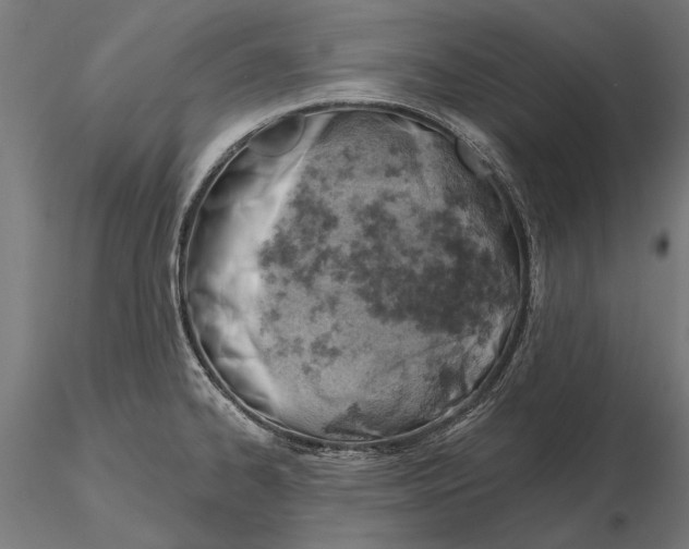 X0000115591334200912081040