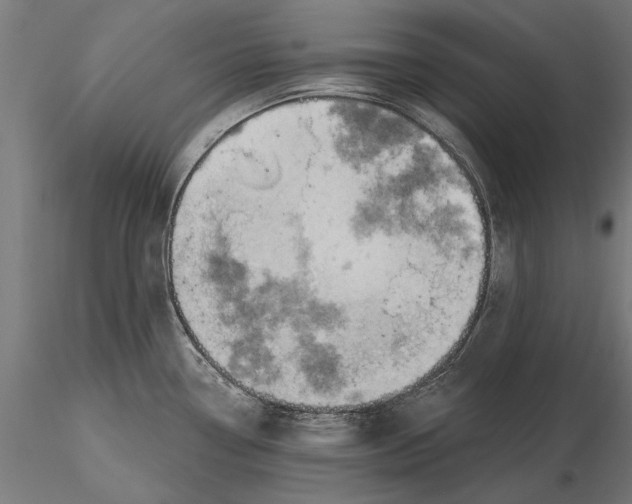 X0000115591338200912081040