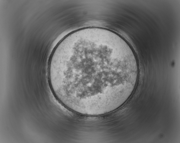 X0000115591339200912081041