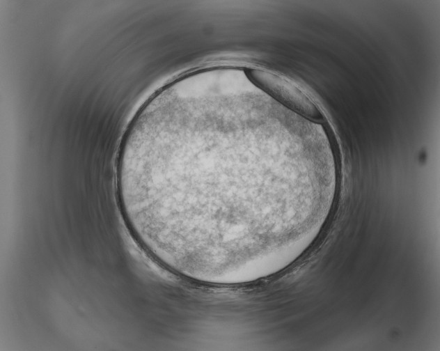 X0000115591341200912081041