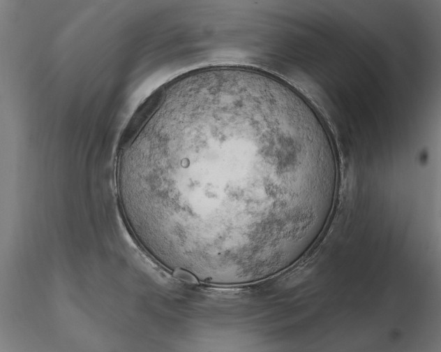 X0000115591342200912081041