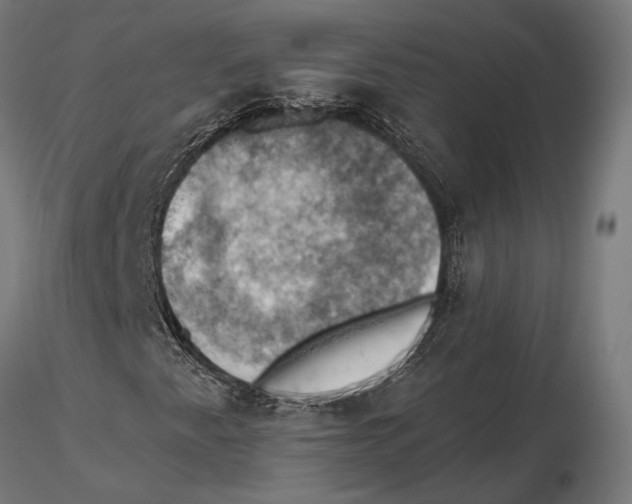 X0000115591345200912081040