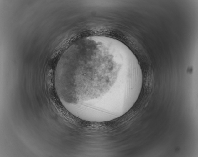X0000115591346200912081040