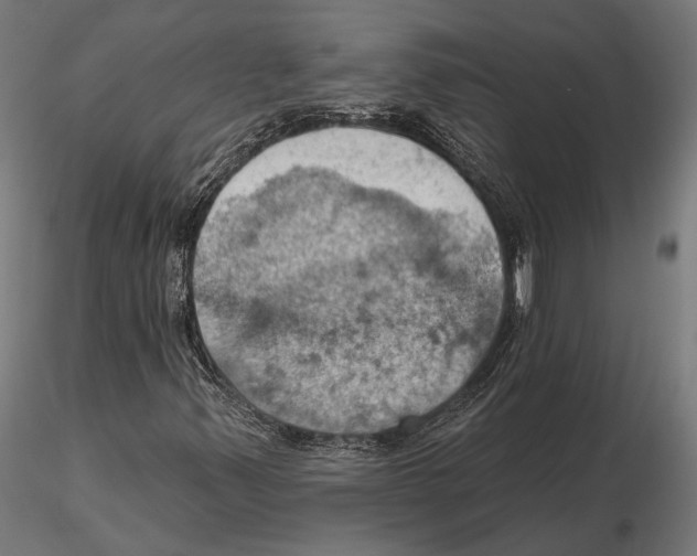 X0000115591347200912081040