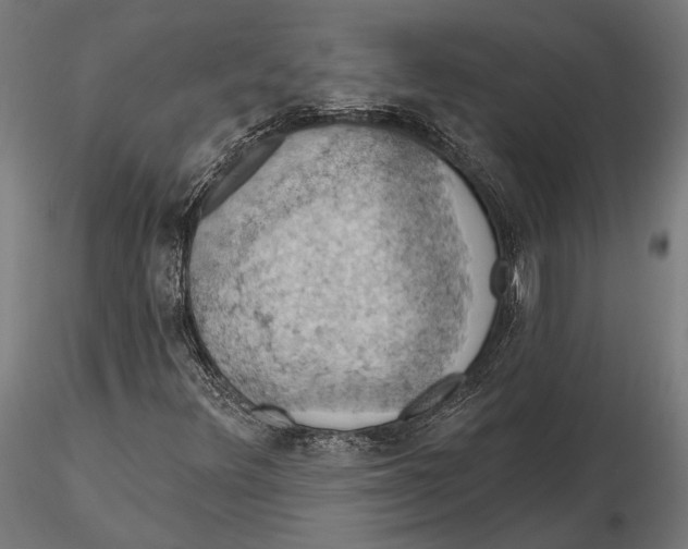 X0000115591348200912081040