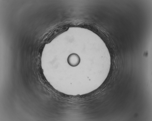 X0000115591349200912081040