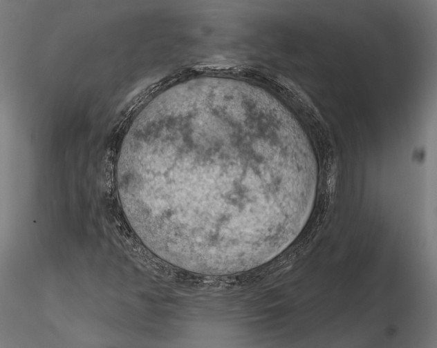 X0000115591350200912081040