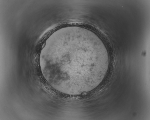 X0000115591351200912081040