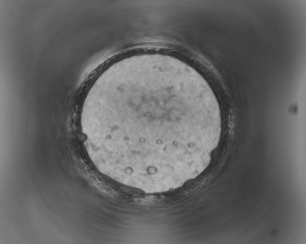 X0000115591352200912081040