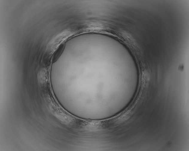X0000115591353200912081040