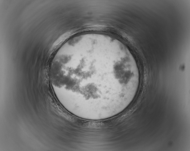 X0000115591354200912081040