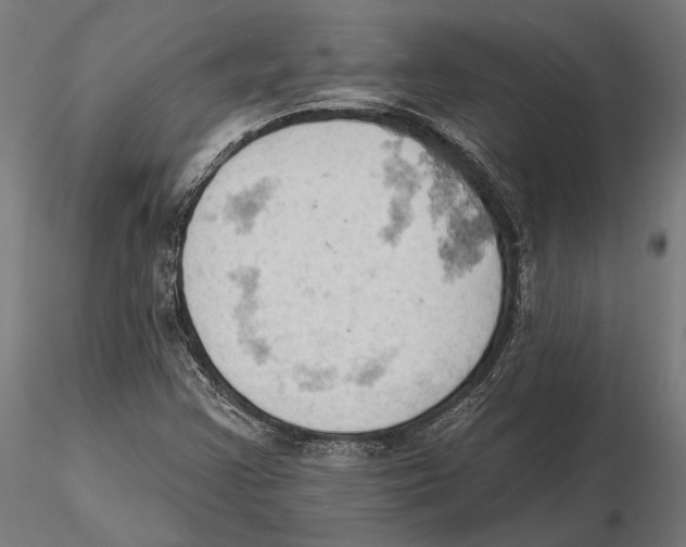 X0000115591355200912081040