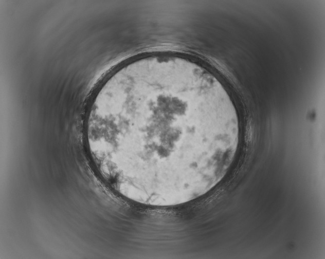 X0000115591356200912081040