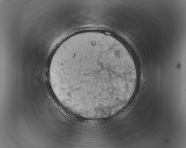 X0000115591357200912081040