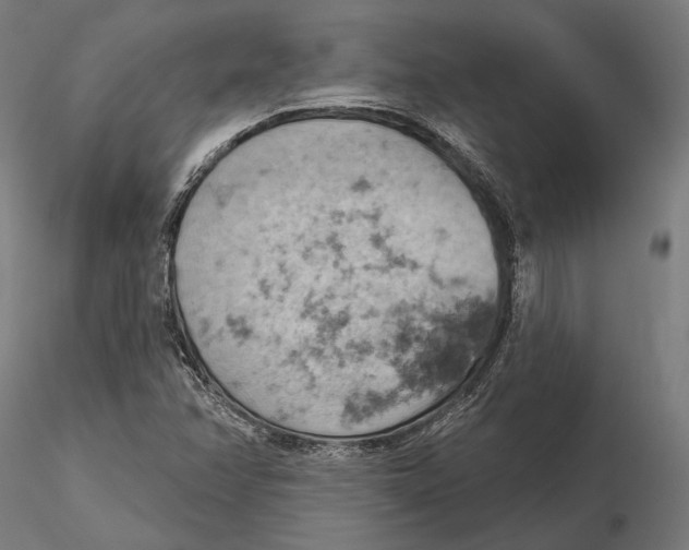 X0000115591358200912081040