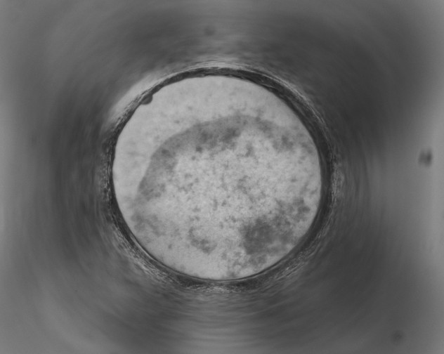 X0000115591359200912081040