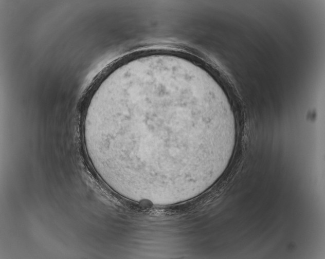 X0000115591360200912081040