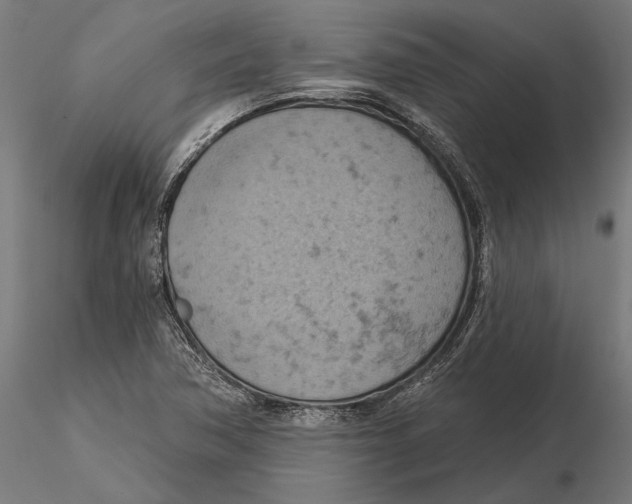 X0000115591362200912081039