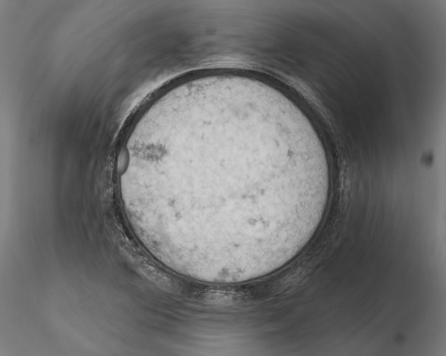 X0000115591364200912081039